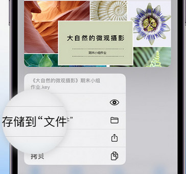 钟楼apple维修中心分享iPhone文件应用中存储和找到下载文件