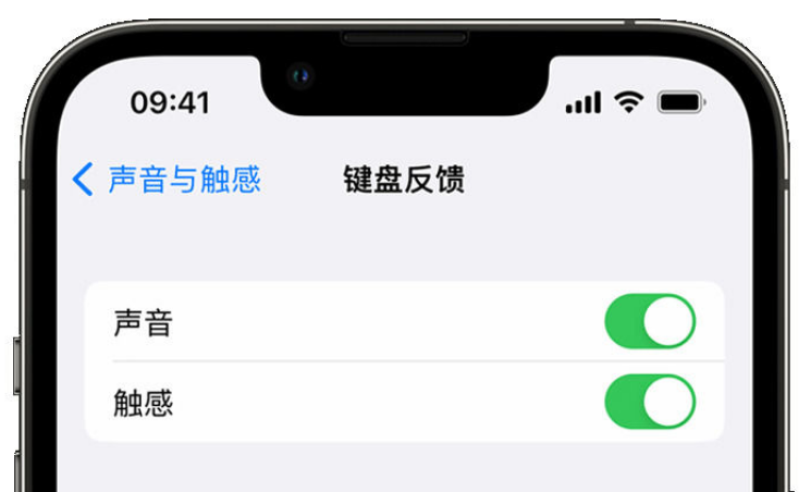 钟楼苹果手机维修分享iPhone 14触感键盘使用方法 