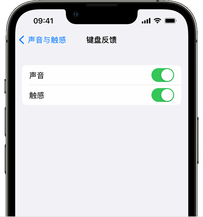 钟楼苹果14维修店分享如何在 iPhone 14 机型中使用触感键盘 