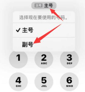 钟楼苹果14维修店分享iPhone 14 Pro Max使用副卡打电话的方法 