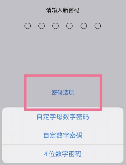 钟楼苹果14维修分享iPhone 14plus设置密码的方法 